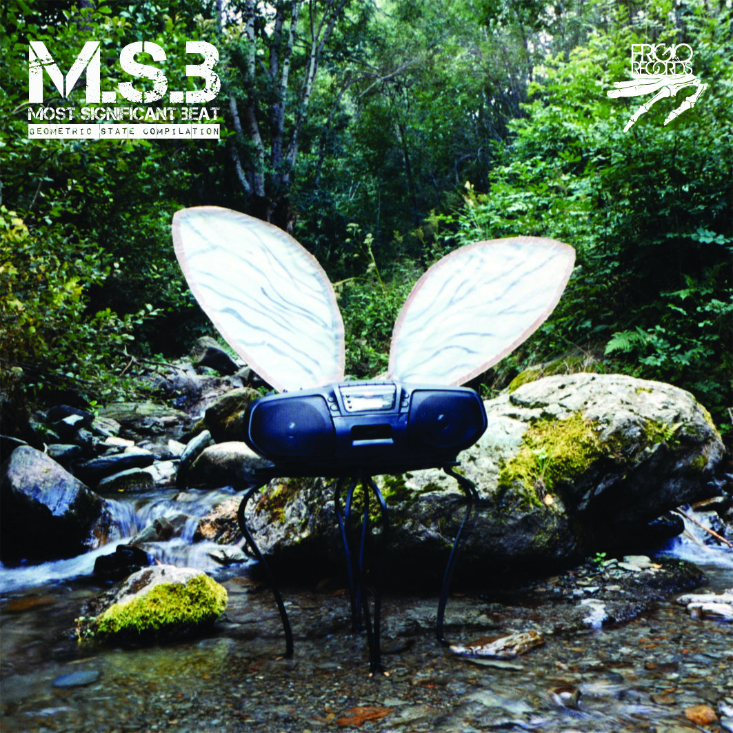 M.S.B. - Geometrik State