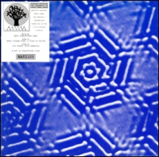 M.S.B. - Heart Thinks Wide